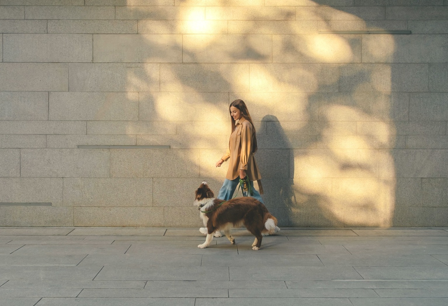 Woman walking her dog on a leash past a sunlit stone wall with dappled tree shadows